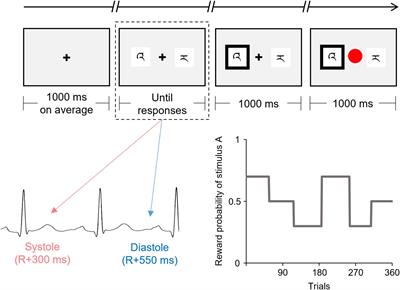 Cardiac Cycle Affects the Asymmetric Value Updating in Instrumental Reward Learning